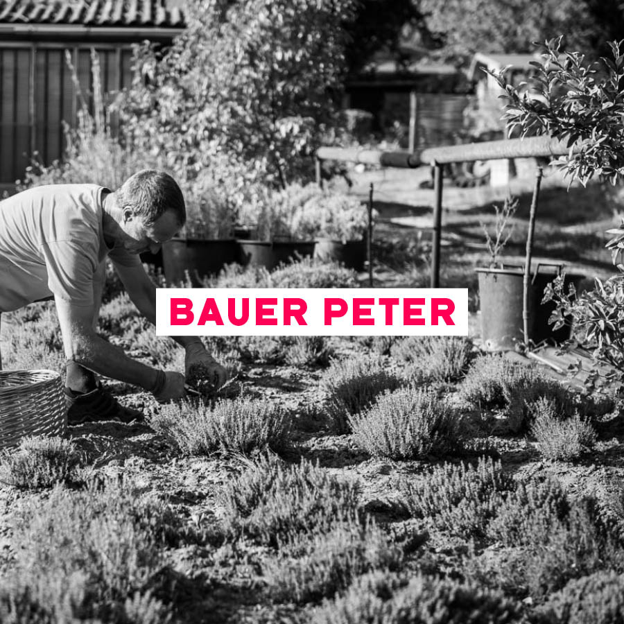 Farmer Peter in his garden